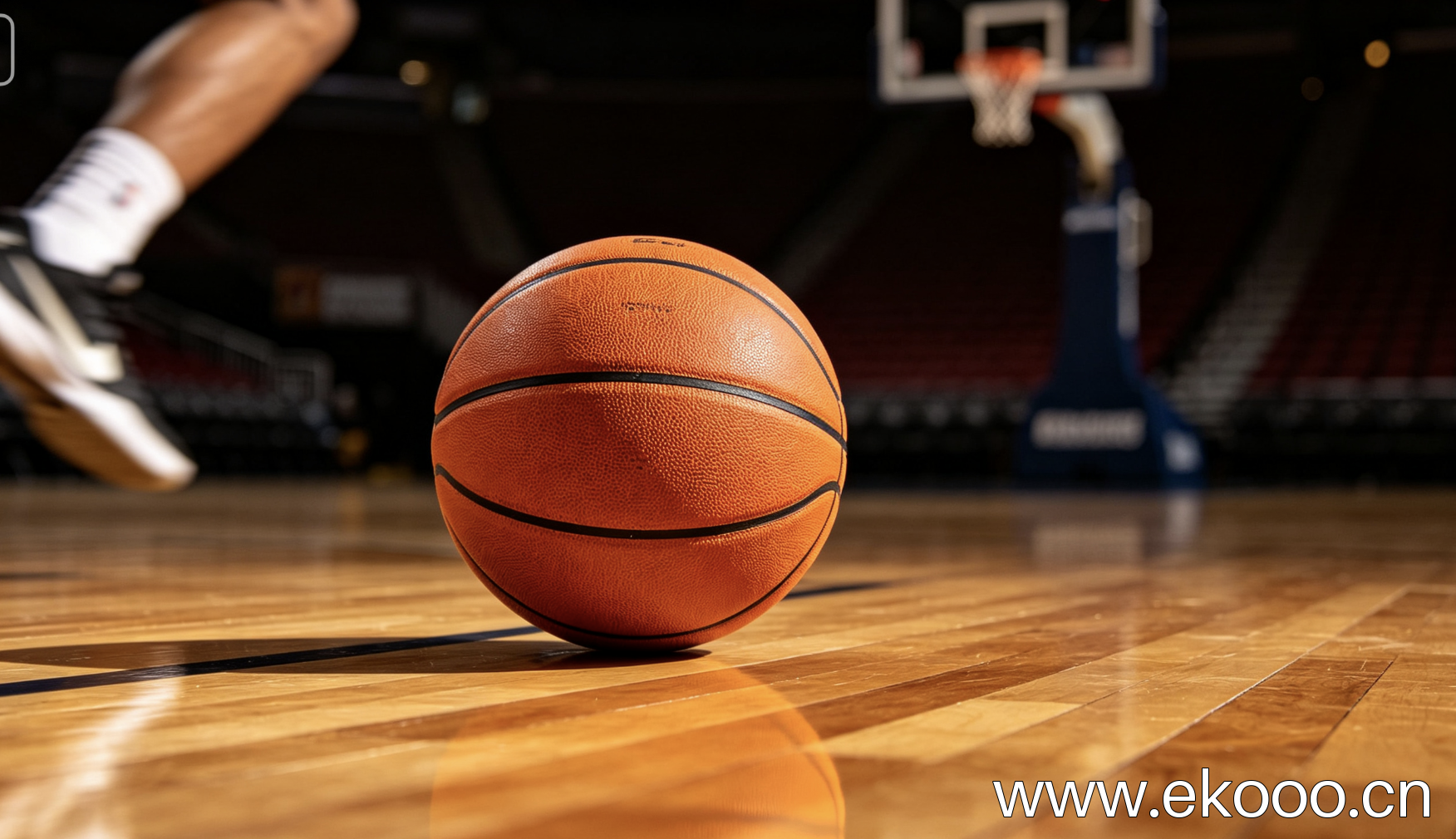 NBA五佳球